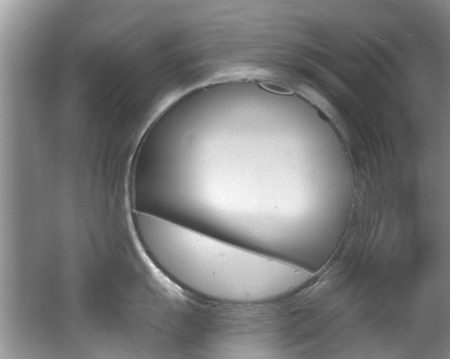 X0000062611055200512210932