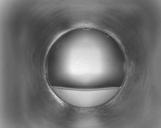 X0000062611056200512210932