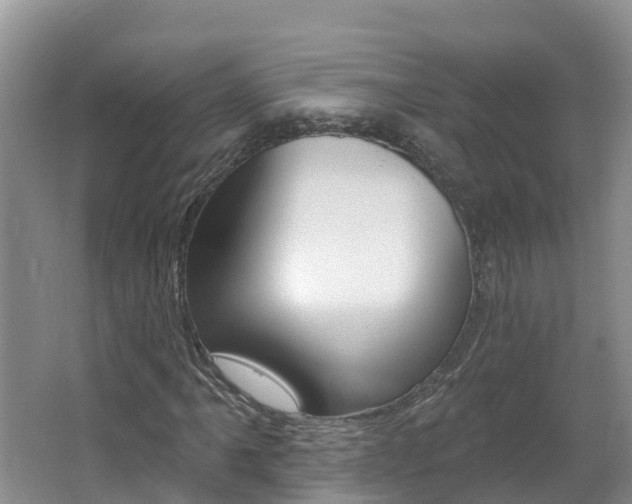 X0000062611061200512210931