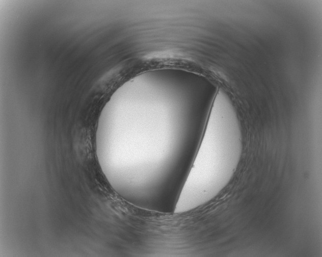 X0000062611062200512210931