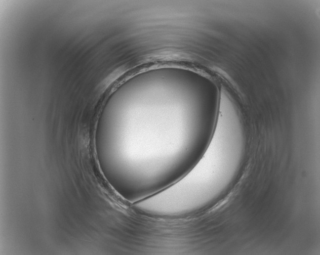 X0000062611065200512210931