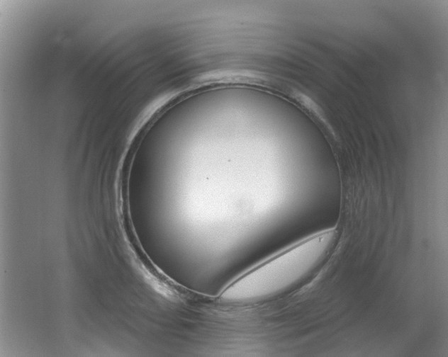 X0000062611082200512210931