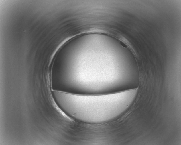X0000062611092200512210931