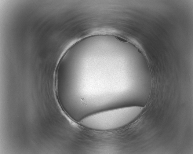 X0000062611103200512210930