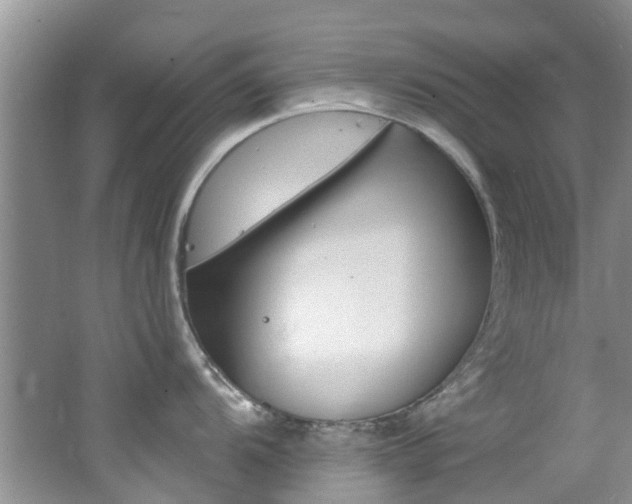 X0000062611104200512210930