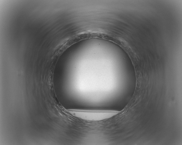 X0000062611110200512210930