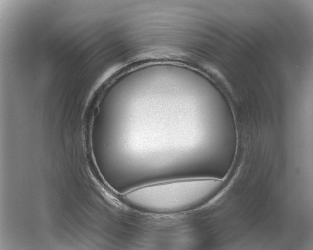 X0000062611114200512210930