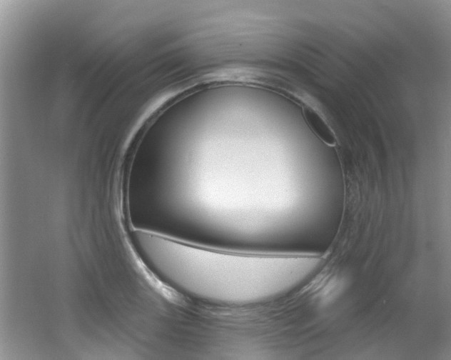X0000062611131200512210930