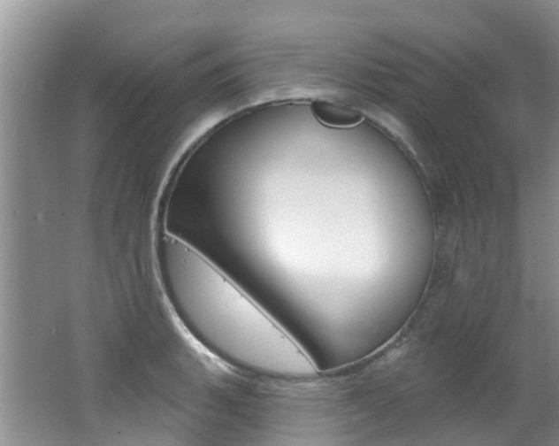 X0000062611135200512210930