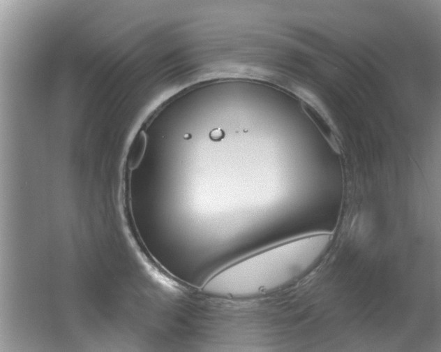X0000062611136200512210930