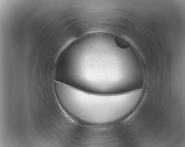 X0000062611137200512210930