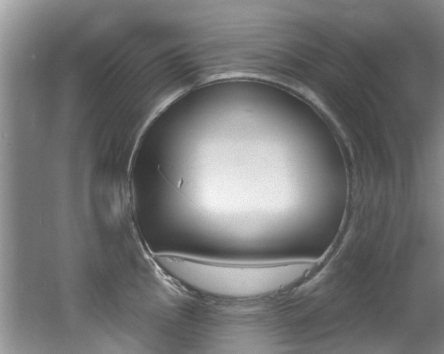 X0000062611145200512210930