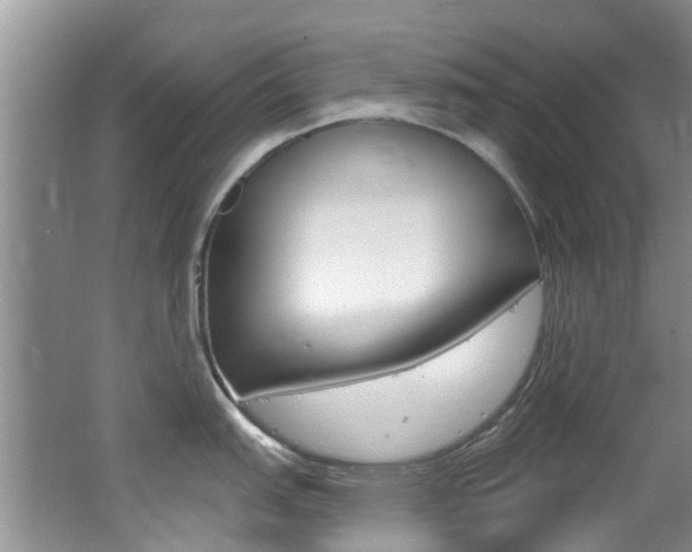 X0000062611151200512210930