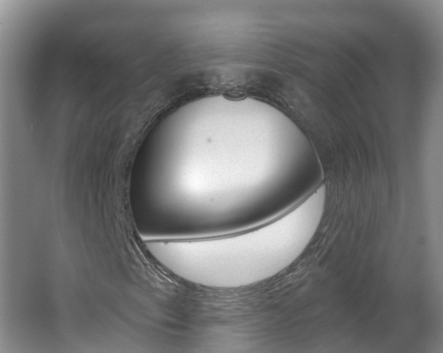 X0000062611153200512210930