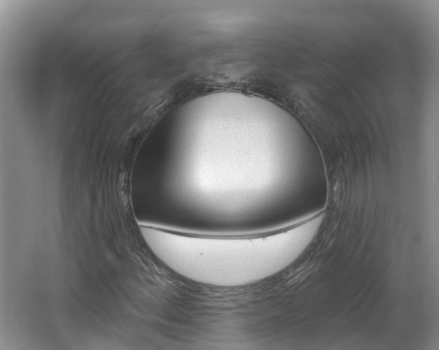 X0000062611156200512210929
