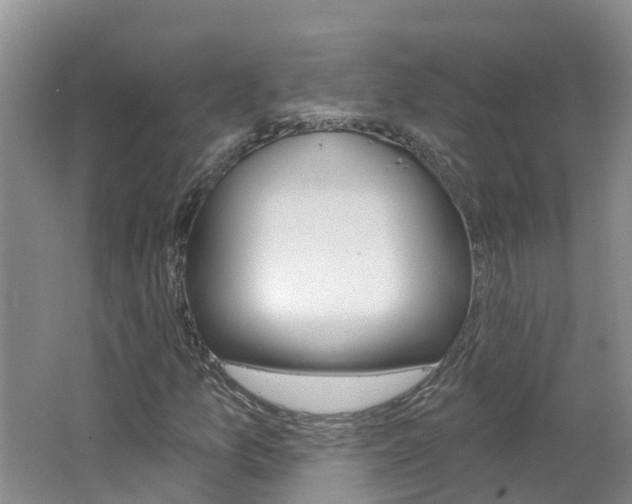 X0000062611157200512210929