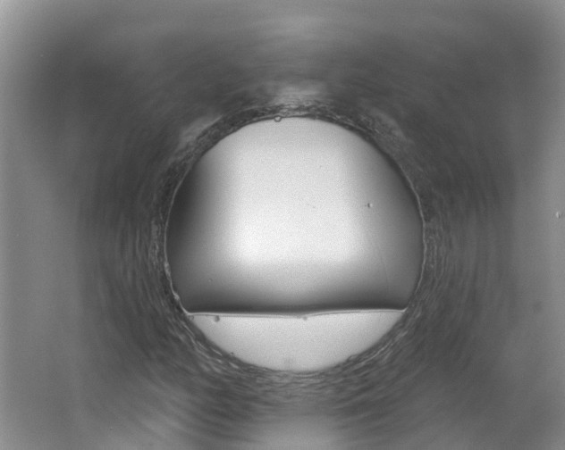 X0000062611158200512210929