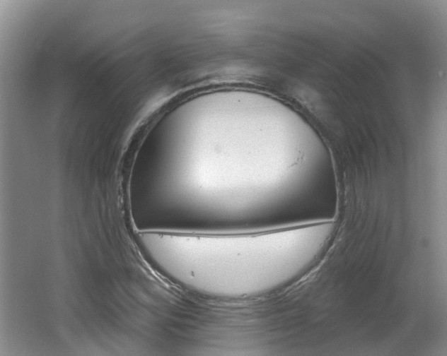 X0000062611164200512210929