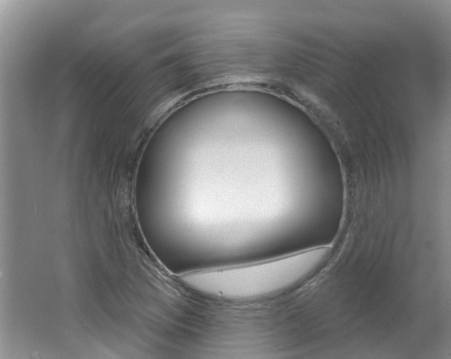 X0000062611169200512210929