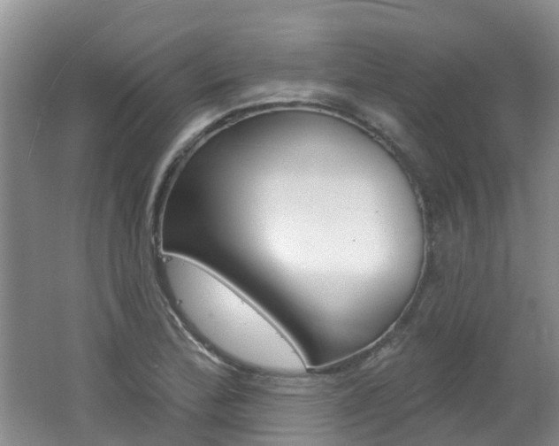 X0000062611172200512210929