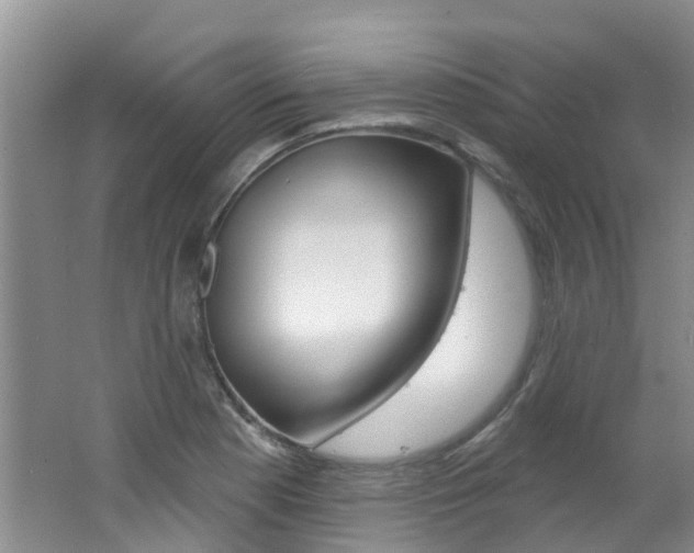 X0000062611177200512210929