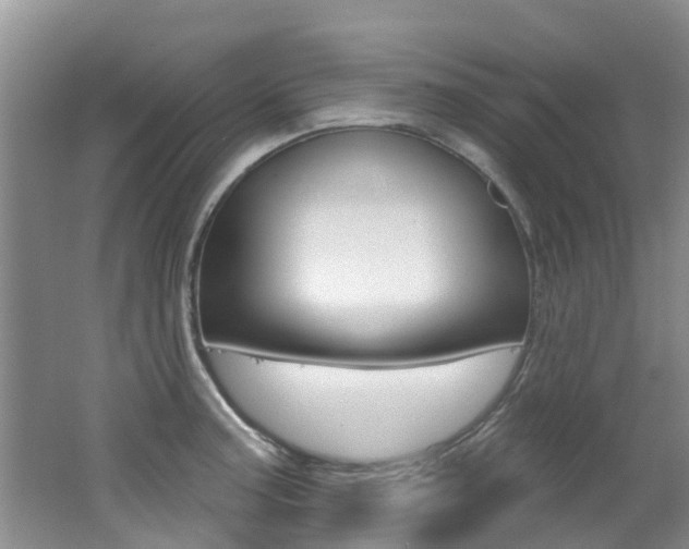 X0000062611187200512210929