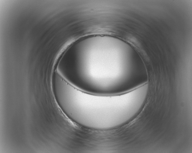 X0000062611188200512210929