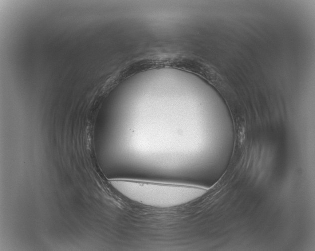 X0000062611204200512210928