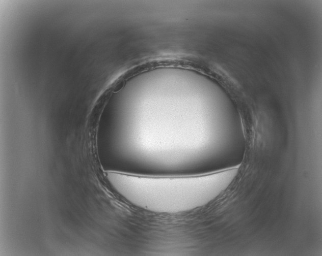 X0000062611208200512210928