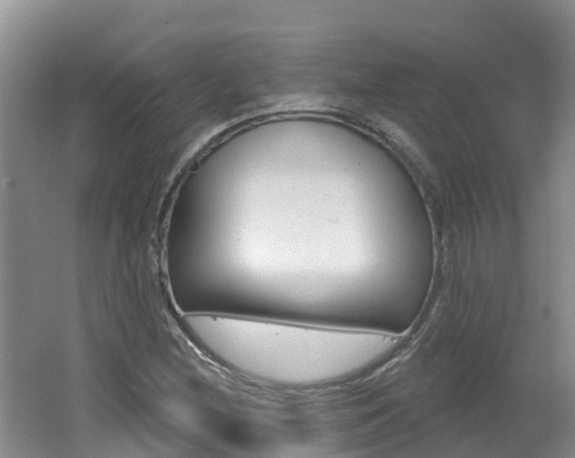 X0000062611212200512210928