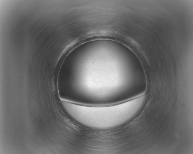X0000062611218200512210928