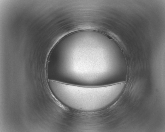 X0000062611236200512210929