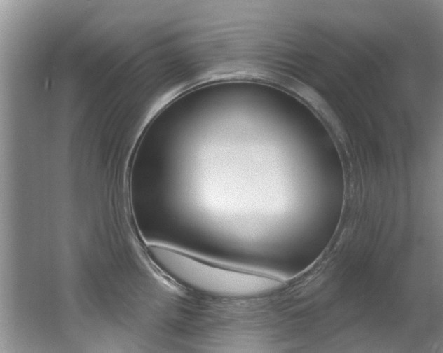 X0000062611242200512210929