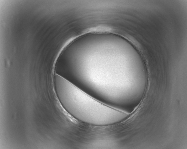 X0000062611248200512210929