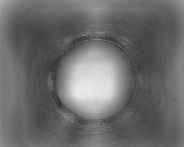 X0000062611252200512210928