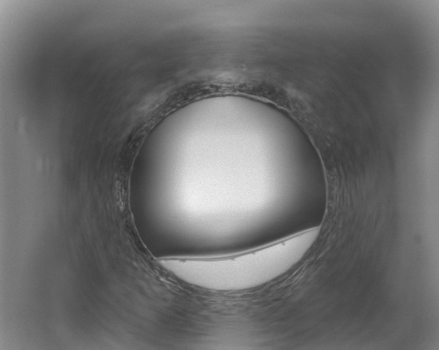 X0000062611253200512210928