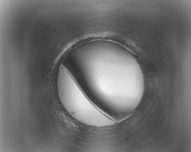 X0000062611256200512210928