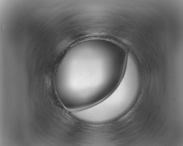 X0000062611257200512210928