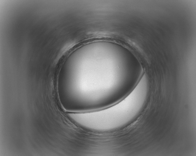 X0000062611261200512210928