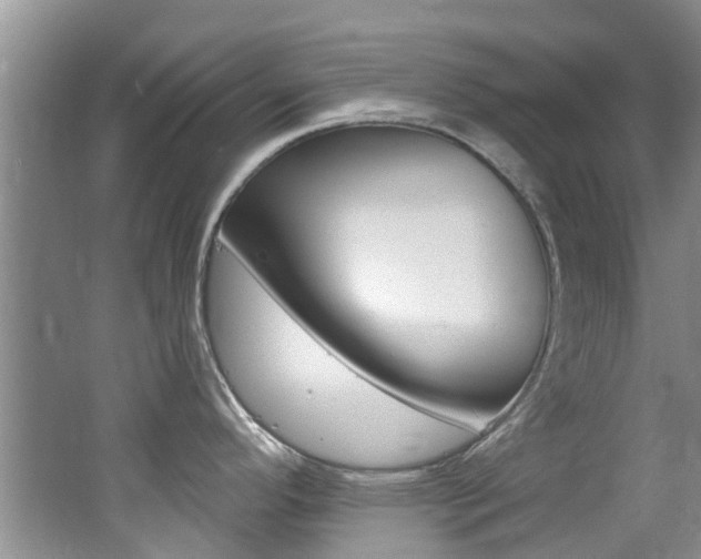 X0000062611296200512210927
