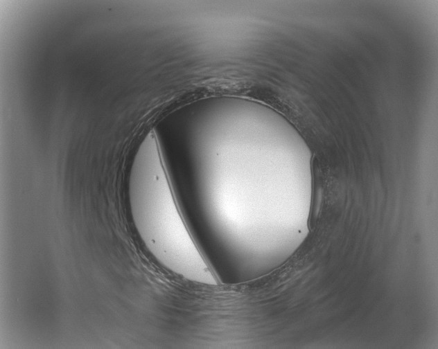 X0000062611297200512210926