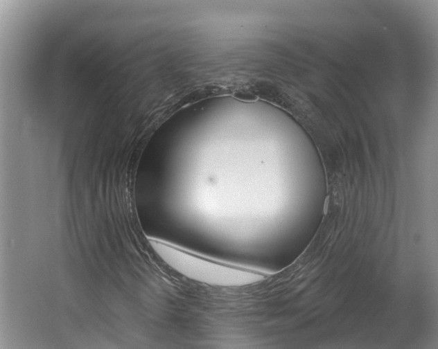 X0000062611298200512210926