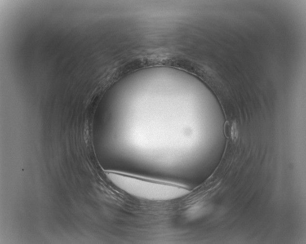 X0000062611299200512210926