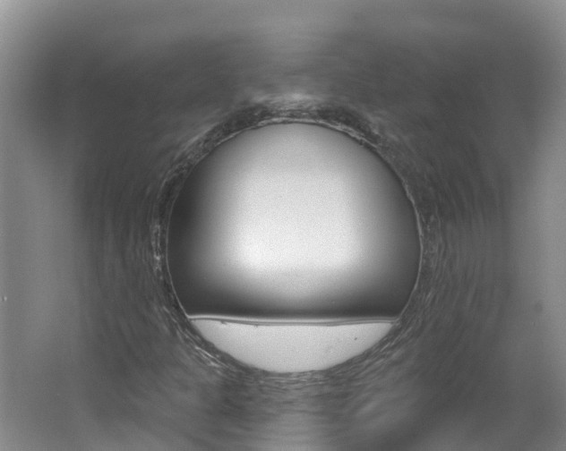 X0000062611301200512210926