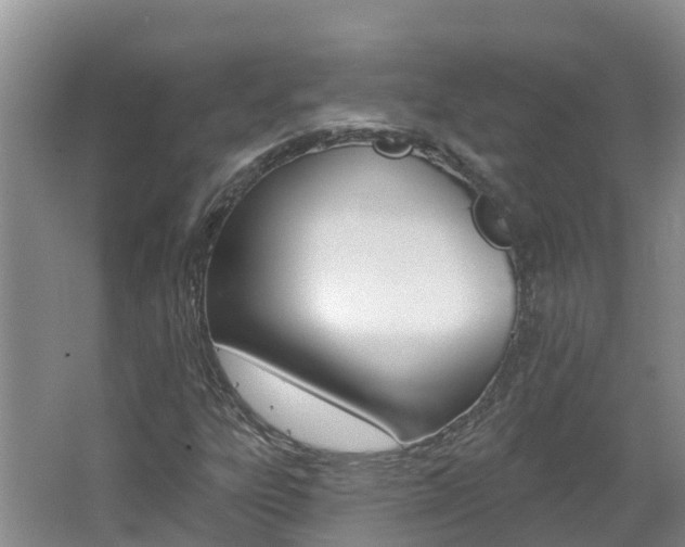 X0000062611303200512210926