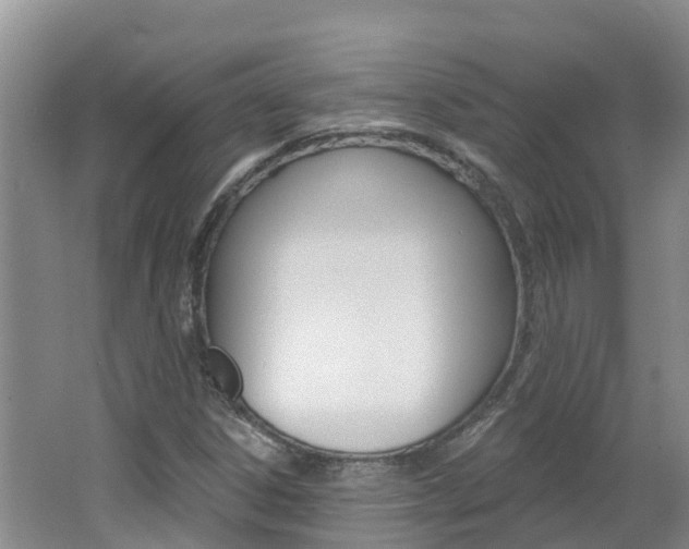 X0000062611306200512210926