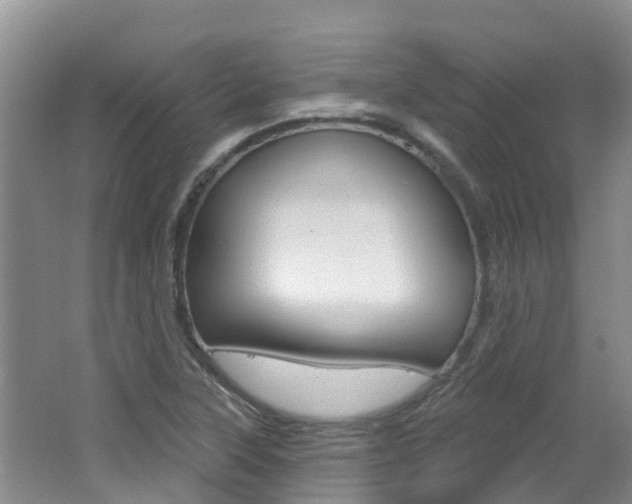X0000062611315200512210926