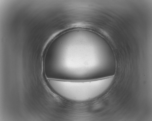 X0000062611323200512210927