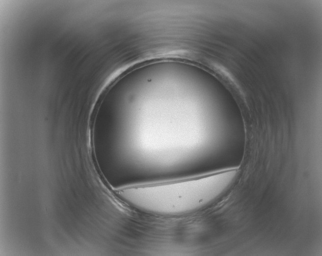 X0000062611324200512210927