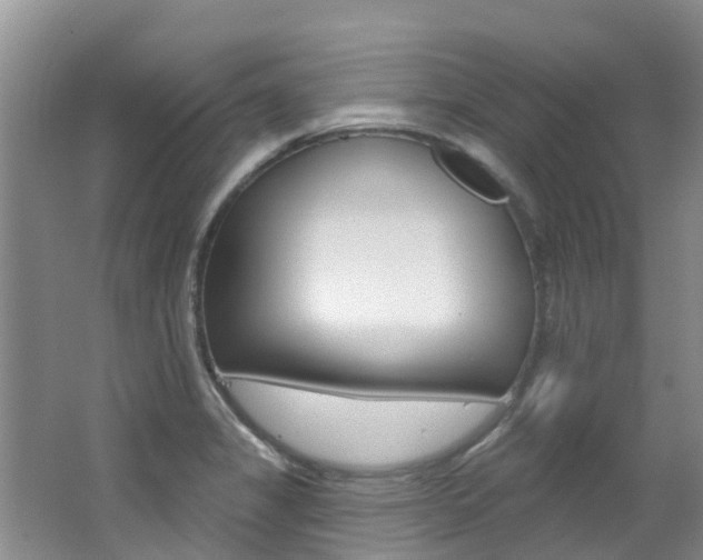 X0000062611325200512210927